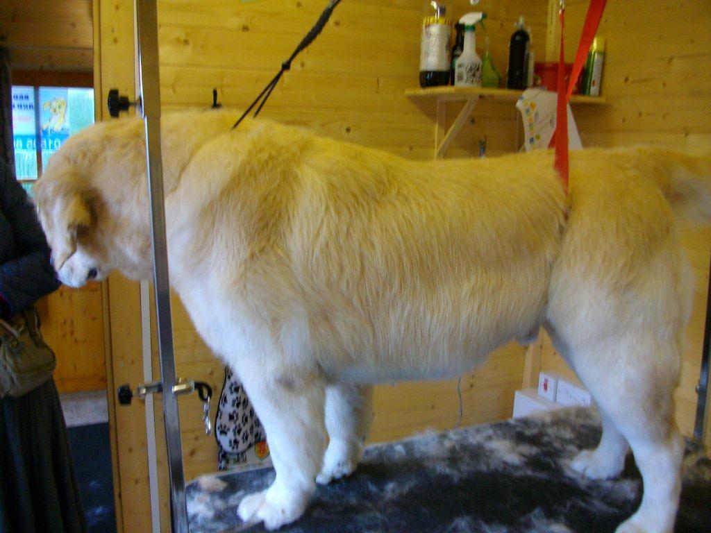 Grooming