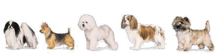 Small Dogs Prices